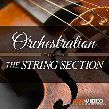 Ask Video Orchestration 101 The String Section