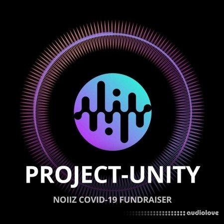 Noiiz Project Unity