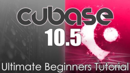 Born To Produce Cubase 10.5 Beginers