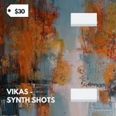 Vikas Synth Shots Library