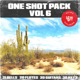 Shoe 100+ One Shot Pack Vol.6