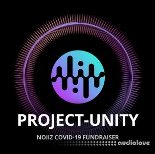 Noiiz Project Unity