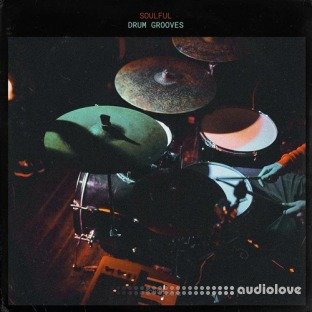 Touch Loops Soulful Drum Grooves