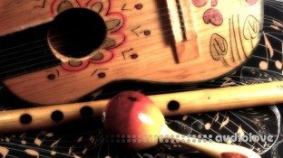 Udemy Play Ukulele Now