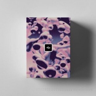 WavSupply Georgie Mischief (Loop Kit)