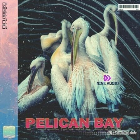 Nine Audio Pelican Bay