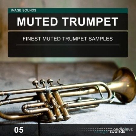 Image Sounds Muted Trumpet 05