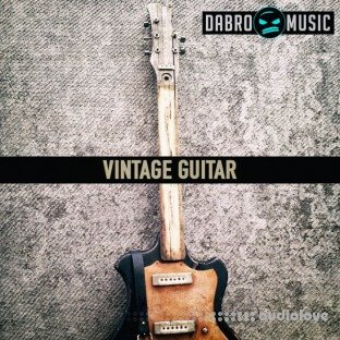 DABRO Music Vintage Guitar