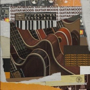 Pelham And Junior Guitar Moods Vol.1 (Loop Pack)