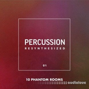 10 Phantom Rooms Percussion Resynthesized 01