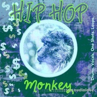 HQO Hip Hop Monkey