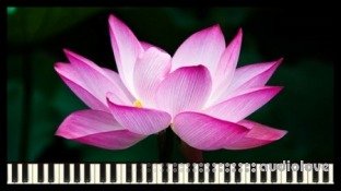 Udemy How to Compose Relaxing Music