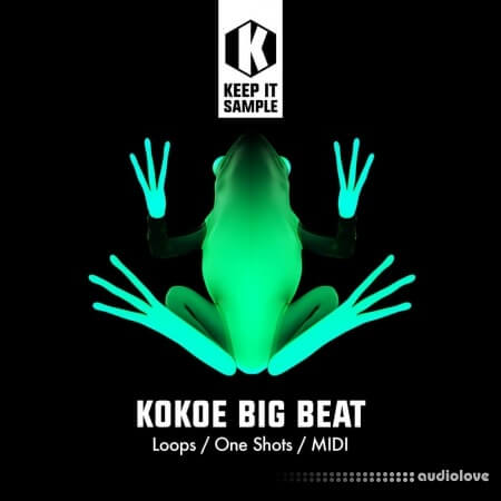 Keep It Sample Kokoe Big Beat