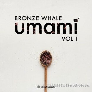Splice Sounds Bronze Whale Umami Sample Pack