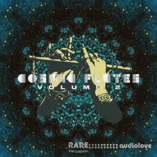 RARE Percussion Cosmic Flutes Vol.2