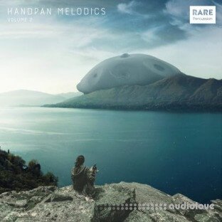 RARE Percussion Handpan Melodics Vol.2