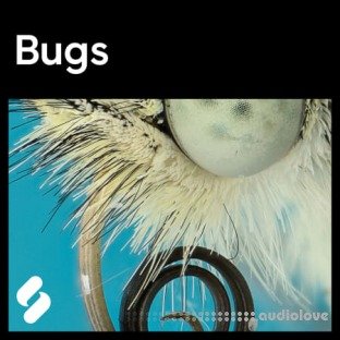 Splice Sounds Explores Bugs