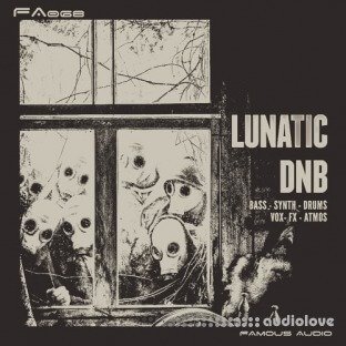 Famous Audio Lunatic DnB