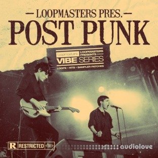Loopmasters VIBES 13 Post Punk