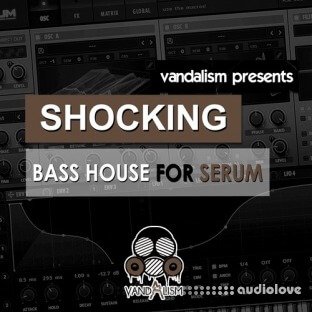 Vandalism Shocking Bass House