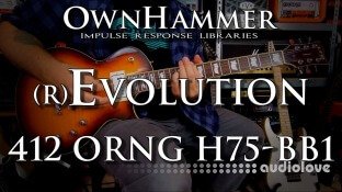Ownhammer Impulse Response Libraries 412 ORNG H75 BB1