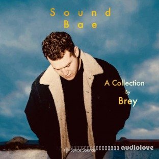 Splice Sounds Sound Bae A Collection by Brey