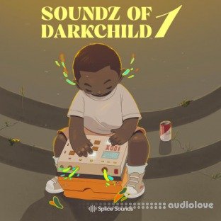 Splice Sounds Soundz of Darkchild 1