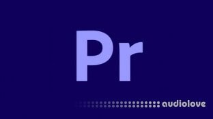 Udemy Adobe Premiere Pro CC 2020