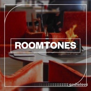 Blastwave FX Roomtones