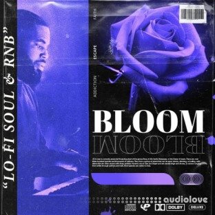 Prime Loops BLOOM RnB Soul Keys