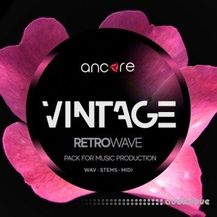 Ancore Sounds Vintage Retrowave Pack