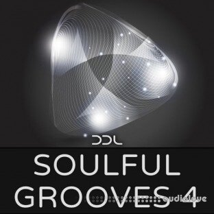 Deep Data Loops Soulful Grooves 4