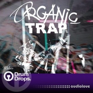 Drumdrops Organic Trap