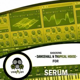 Vandalism Shocking Dancehall and Tropical House For Serum