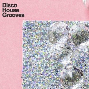 Samplestar Disco House Grooves