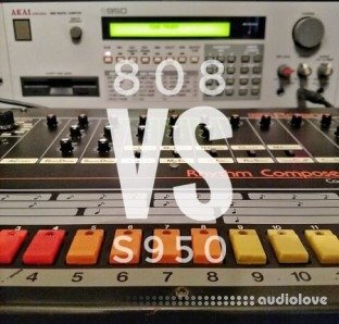 Bullyfinger 808 vs. S950