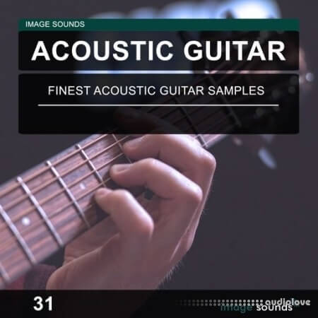 Image Sounds Acoustic Guitar 31