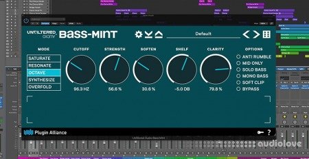 Unfiltered Audio Bass Mint