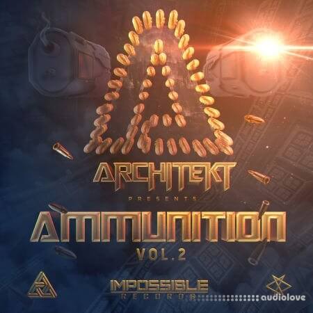 Impossible Records Architekt presents Ammunition Vol.2
