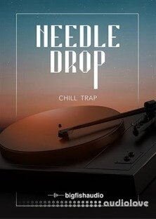 Big Fish Audio Needle Drop: Chill Trap