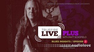 Truefire Matt Schofield Live Plus Blues Insights Ep.02