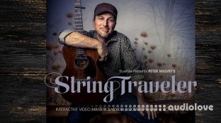Truefire Peter Mulvey String Traveler