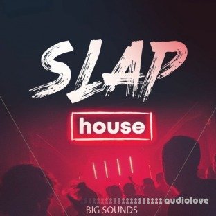 Big Sounds Slap House