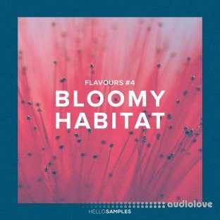 Hello Samples Flavours 4 Bloomy Habitat