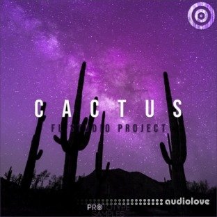 Prototype Samples Cactus FL Studio Project