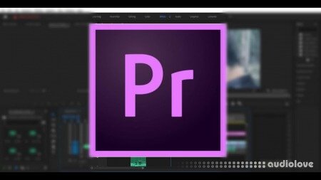 SkillShare Adobe Premiere Pro 2020 Crashcourse To Start Editing