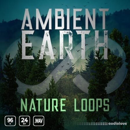 Epic Stock Media Ambient Earth Nature Loops