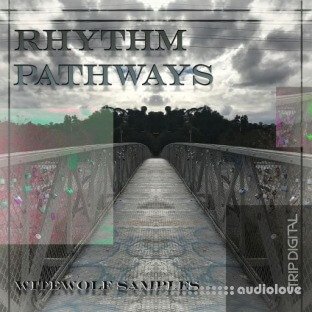 Trip Digital Rhythm Pathways