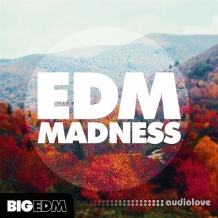 Big EDM EDM Madness