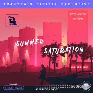 TrakTrain Summer Saturation Kit by Kazoo